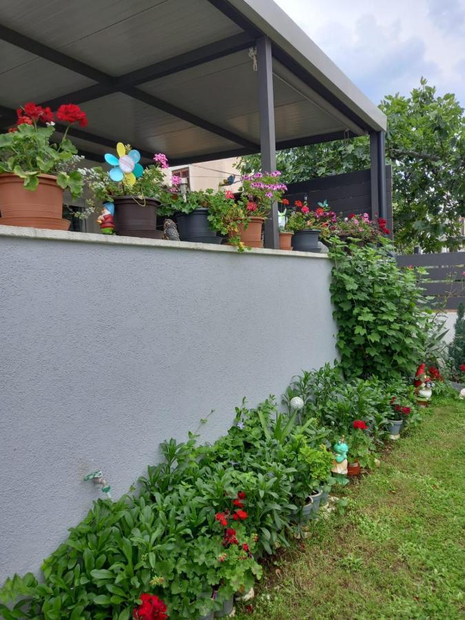 Luxury Apartment Bella Zadar Ngoại thất bức ảnh