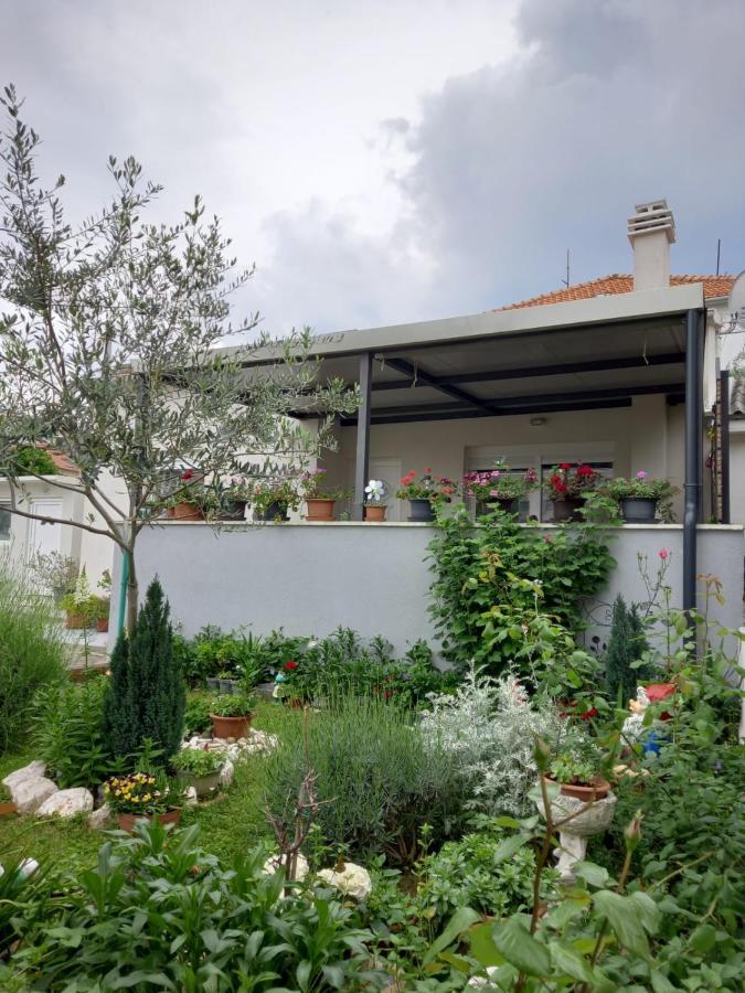 Luxury Apartment Bella Zadar Ngoại thất bức ảnh